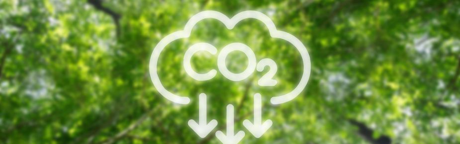Tkrom pinturas obtém o selo Calculo-Reduzco pelo seu compromisso de reduzir a sua pegada de carbono.