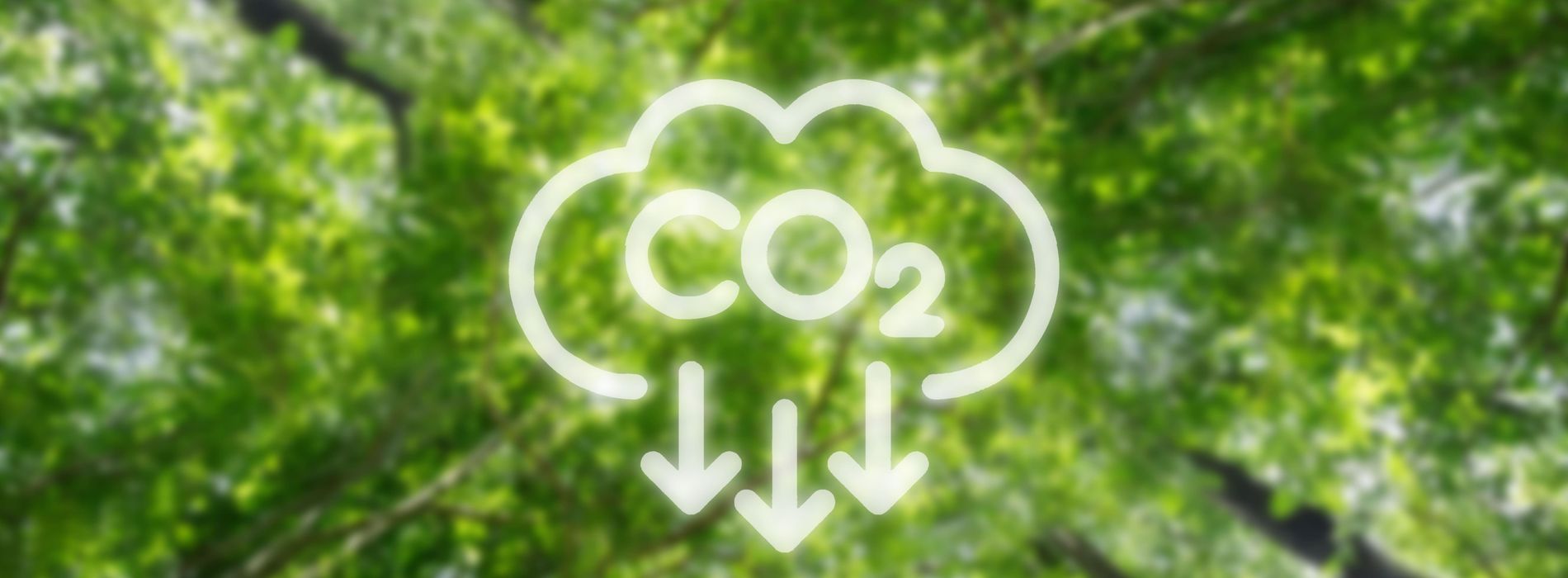 Tkrom pinturas obtains the Calculo-Reduzco seal for its commitment to reducing its carbon footprint.