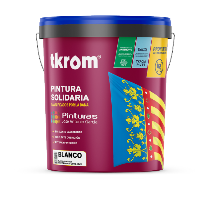 PINTURA SOLIDARIA
